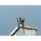 Posterazzi Low angle view of dragon weather vane on chimney Poster Print by Panoramic Images